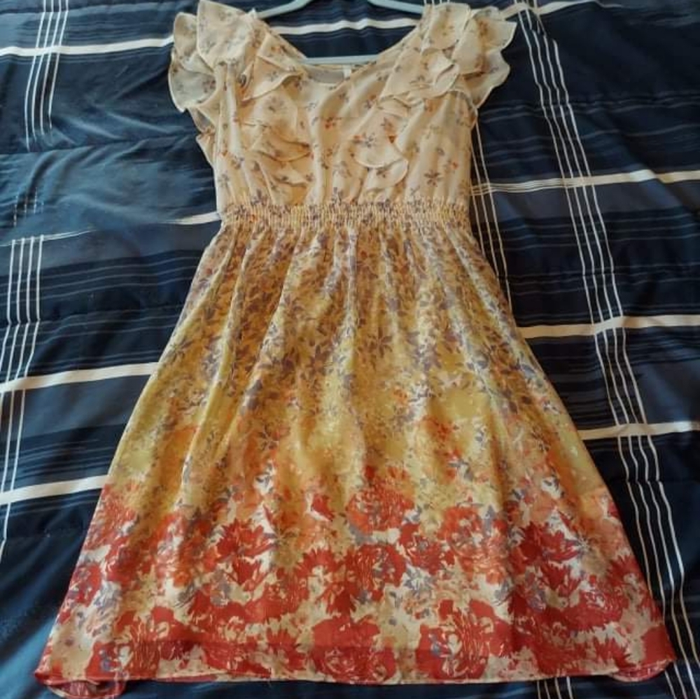 Mesh ruffle ombre flower print fit and flare dress
